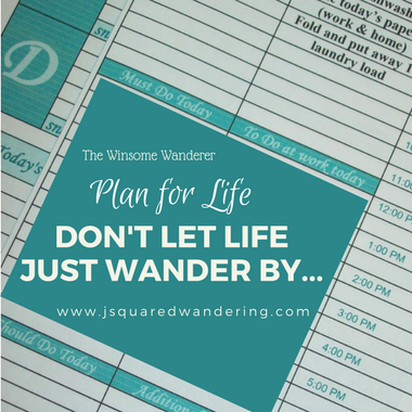 Plan for Life, Don't let life just wander by. The Winsome Wanderer