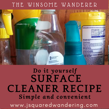 Do It Yourself surface cleaner - The Winsome Wanderer