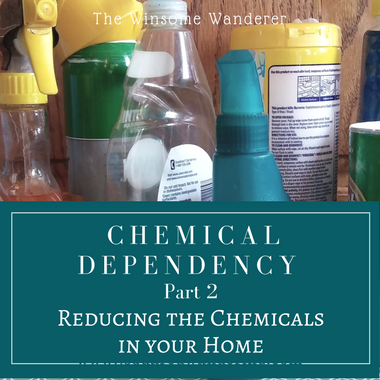 Reducing chemicals in the kitchen -The Winsome Wanderer